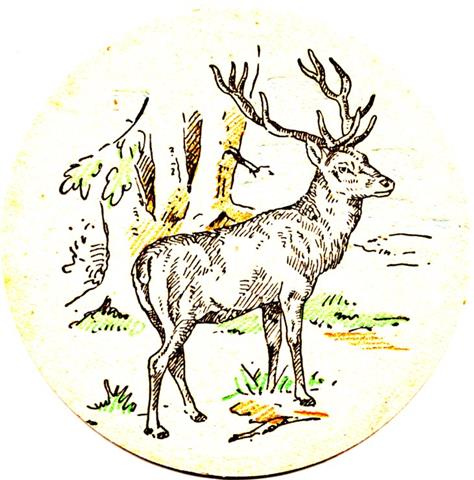 weisenbach ra-bw katz tiere rund 2a (185-hirsch)